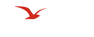 Chèque vacances